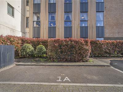 Picture 25